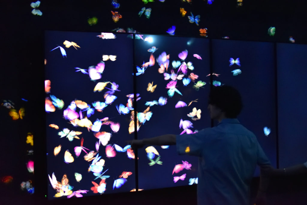 Wystawa teamLab Borderless w Tokio - kolorowe motyle na ścianie
