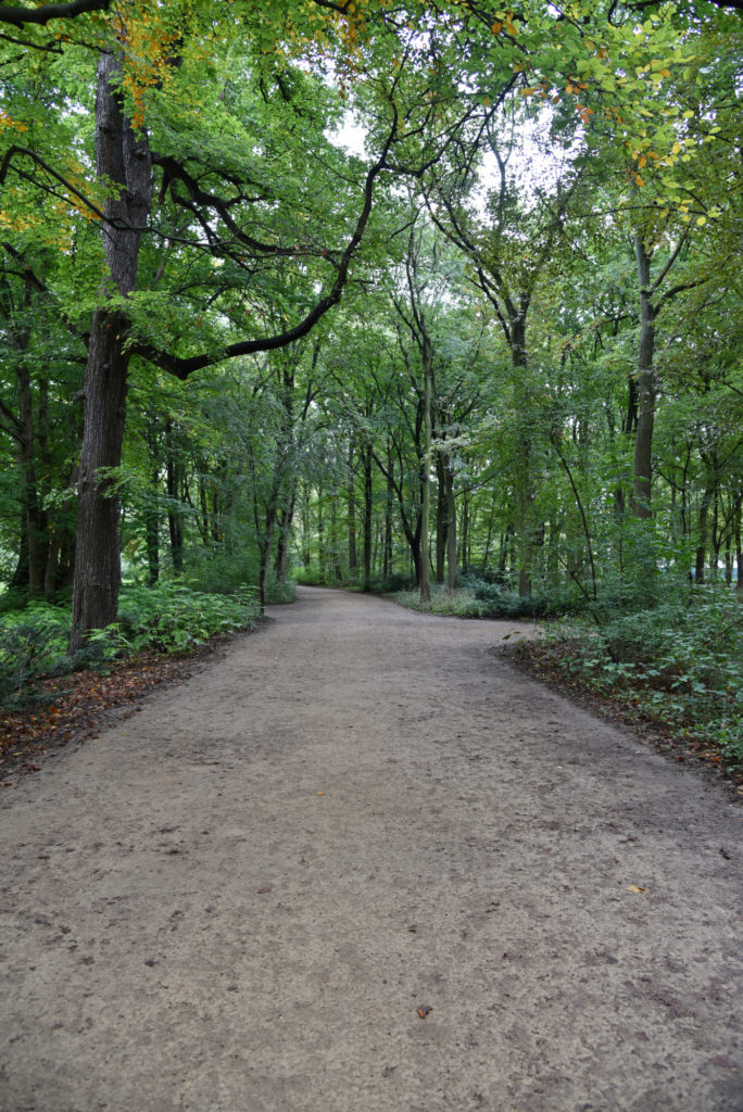 Spacer po Berlinie - w parku Großer Tiergarten - ścieżka wśród drzew