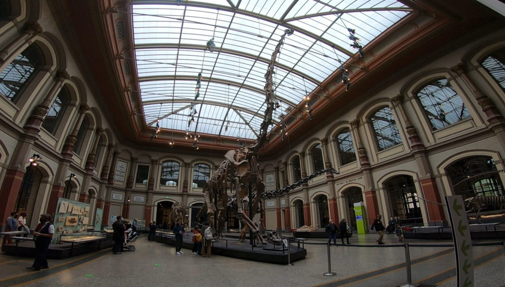 Muzeum Historii Naturalnej w Berlinie: szkielet brachiozaura