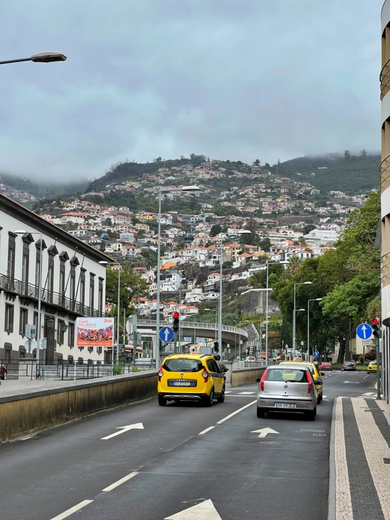 Zabudowa w Funchal na zboczu góry
